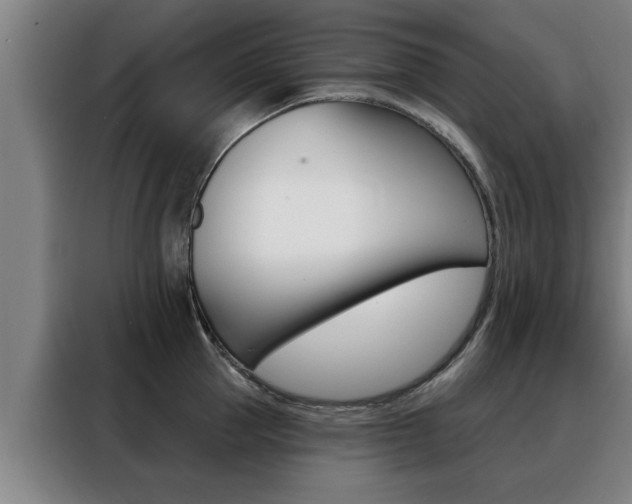 X0000088390953200705220758