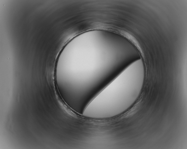 X0000088390954200705220758