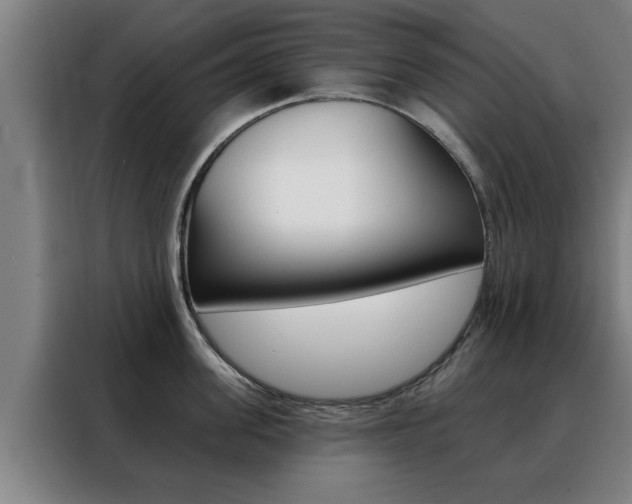 X0000088390955200705220758