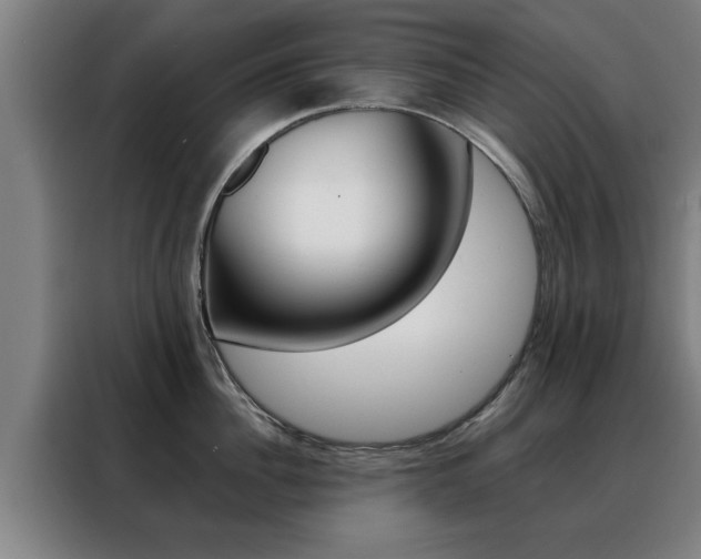 X0000088390956200705220758