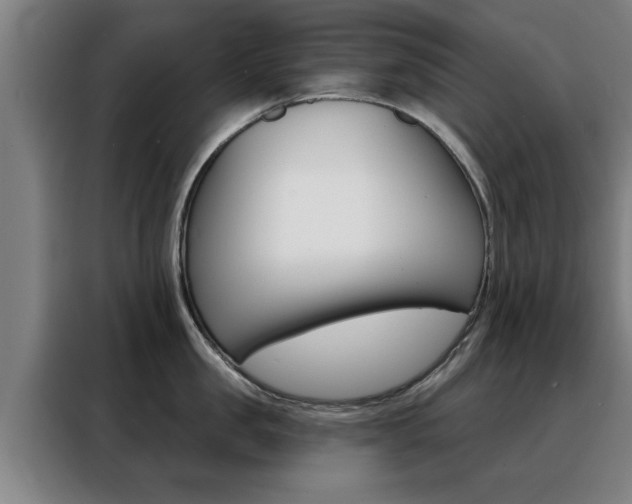X0000088390957200705220758