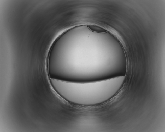 X0000088390958200705220758