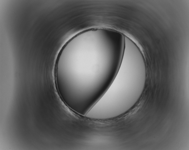 X0000088390959200705220758