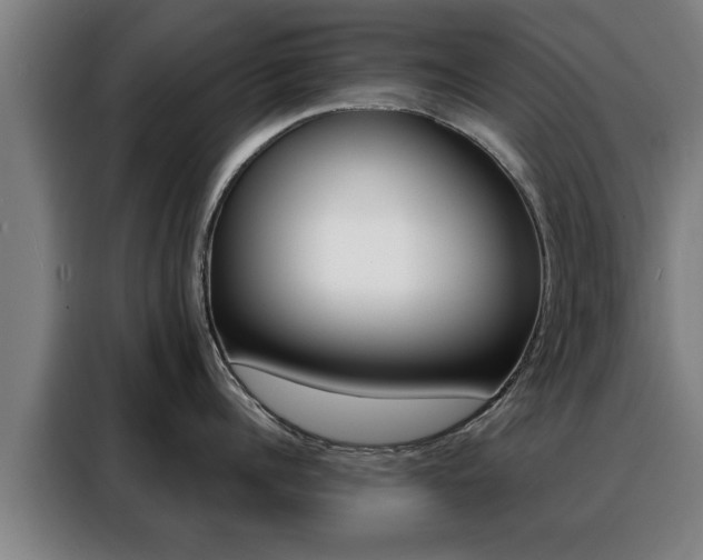 X0000088390960200705220758