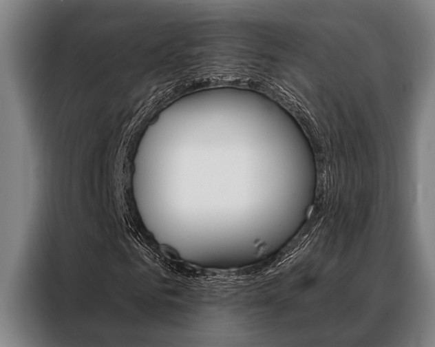 X0000088390961200705220758