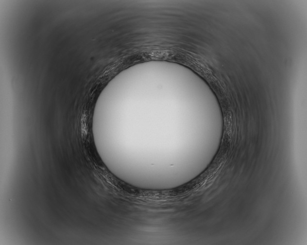 X0000088390962200705220758