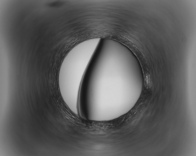 X0000088390963200705220758