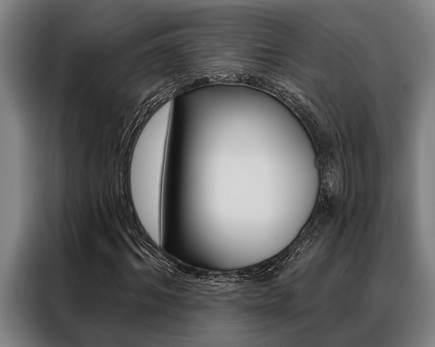 X0000088390964200705220758