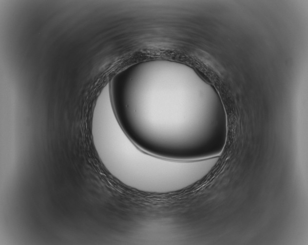 X0000088390965200705220758