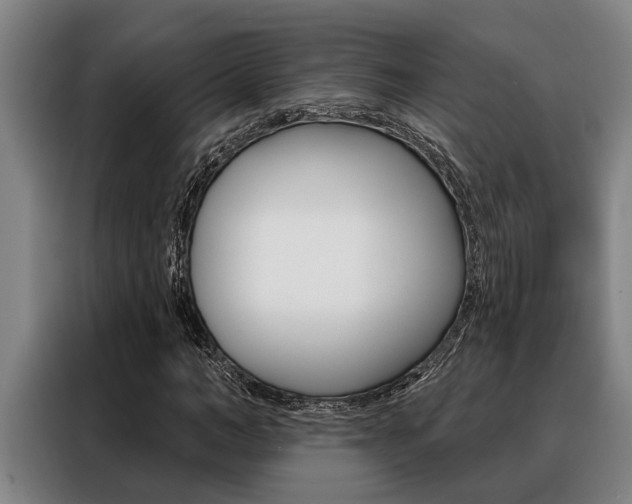 X0000088390966200705220758