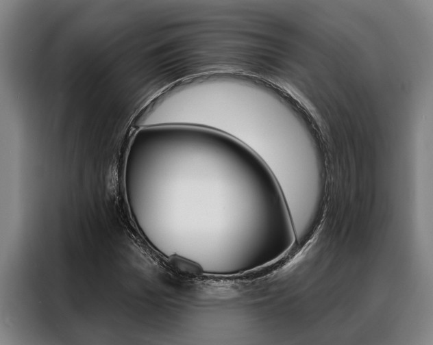 X0000088390969200705220758