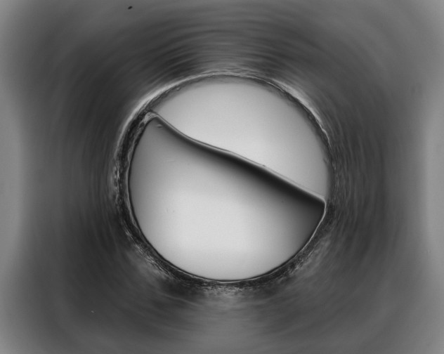 X0000088390971200705220758