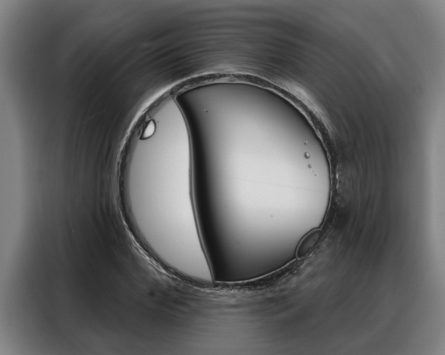 X0000088390972200705220758