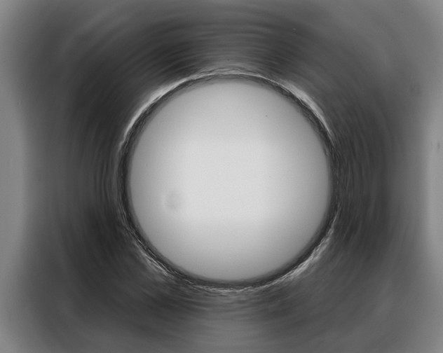 X0000088390973200705220757