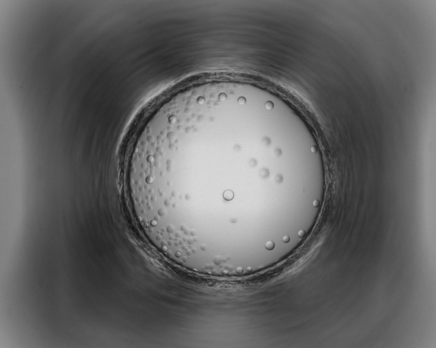 X0000088390974200705220757