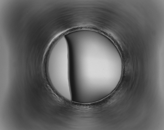 X0000088390975200705220757