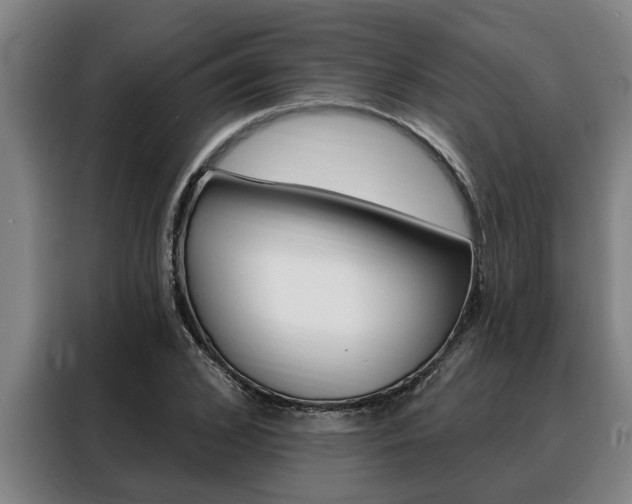 X0000088390976200705220757