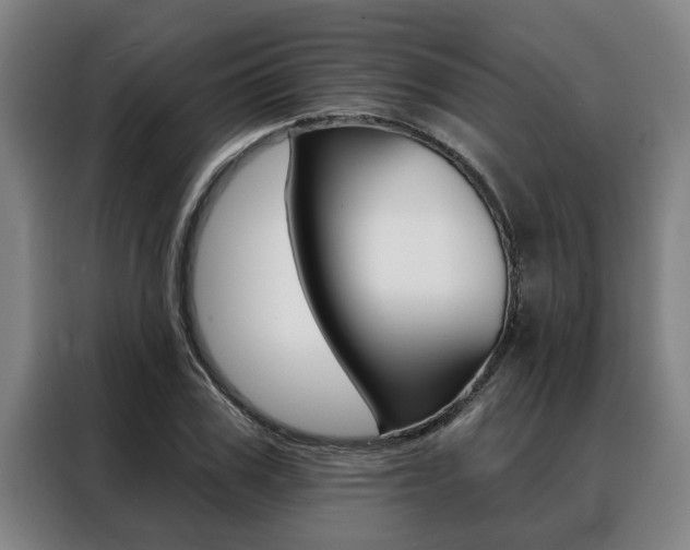 X0000088390979200705220757