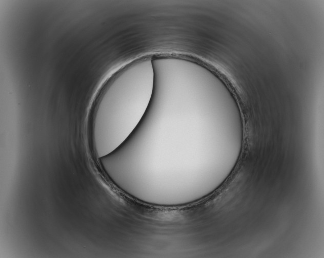 X0000088390982200705220757