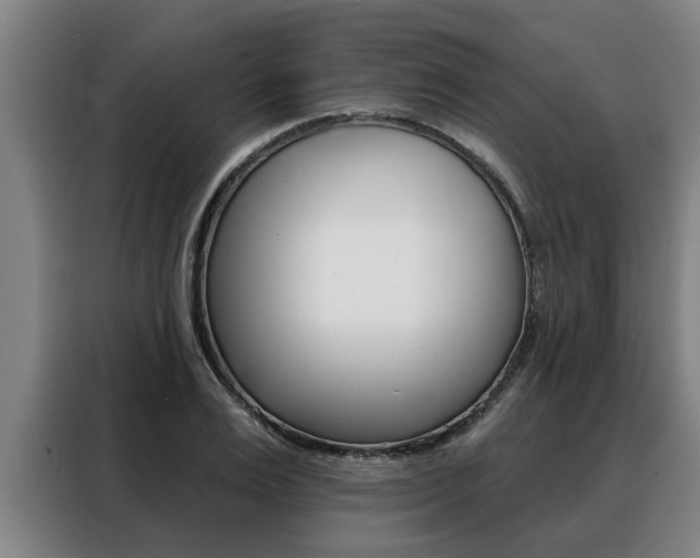 X0000088390983200705220757