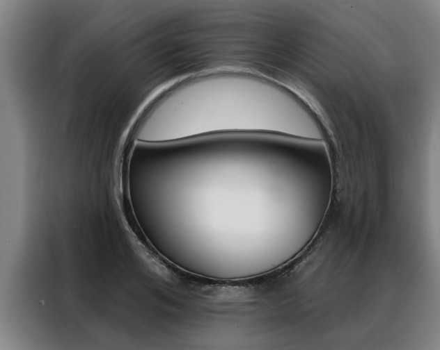 X0000088390984200705220757
