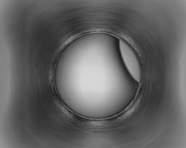 X0000088390985200705220757