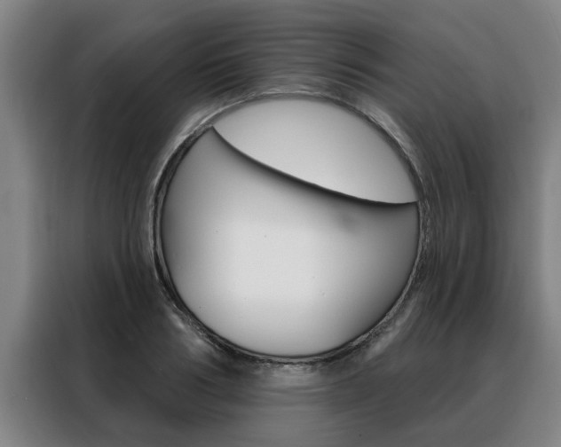 X0000088390986200705220757