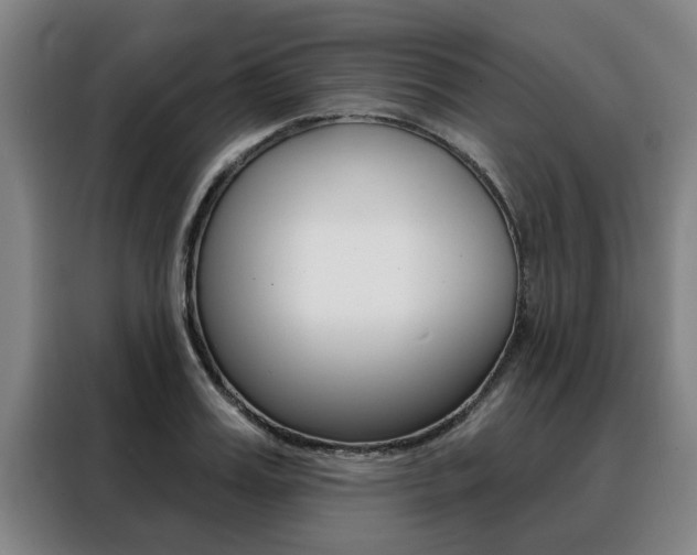 X0000088390987200705220757