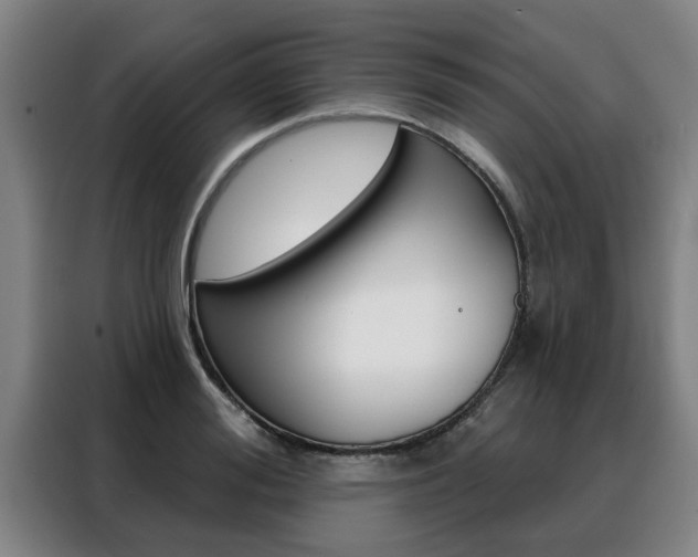 X0000088390988200705220757