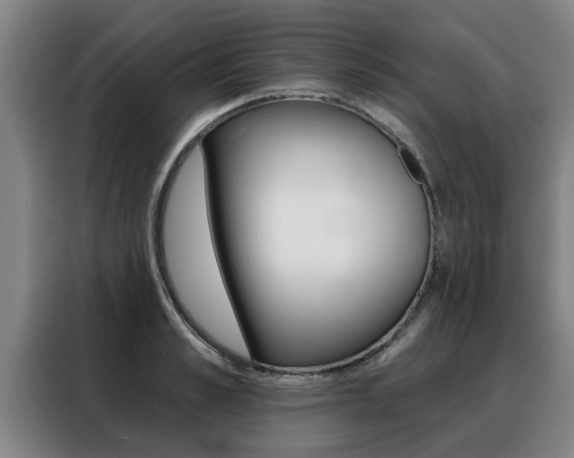 X0000088390989200705220757