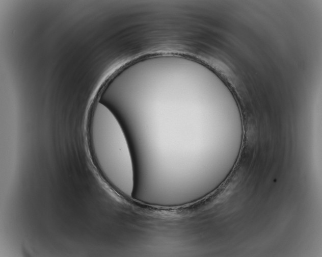 X0000088390990200705220757