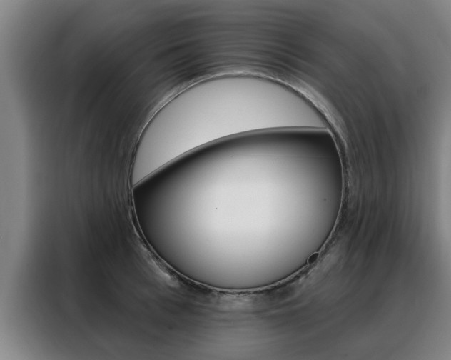 X0000088390993200705220757