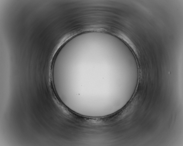 X0000088390994200705220757
