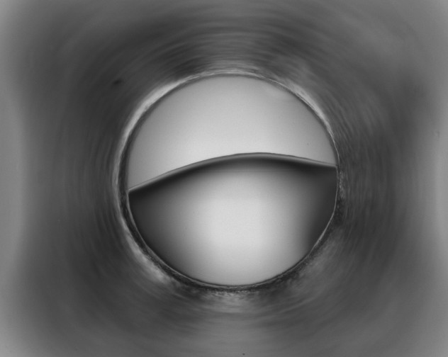 X0000088390995200705220757