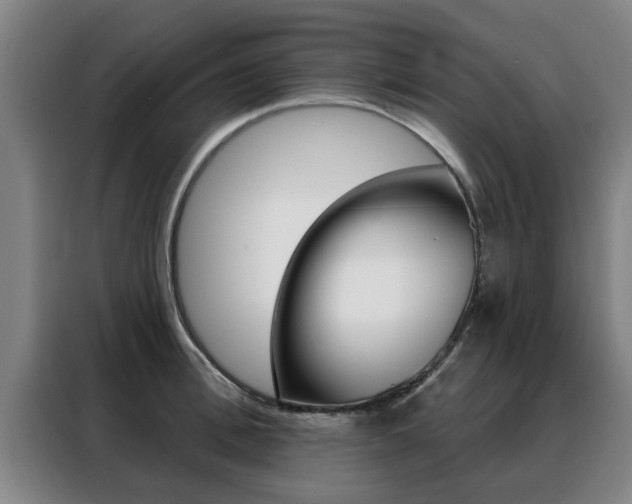 X0000088390996200705220757
