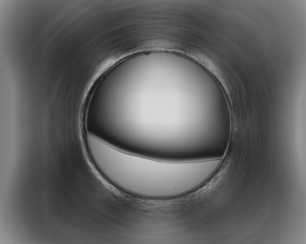 X0000088390997200705220757