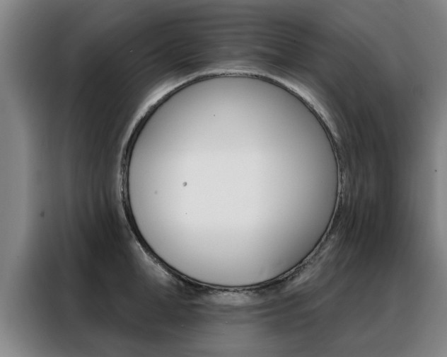 X0000088390998200705220757
