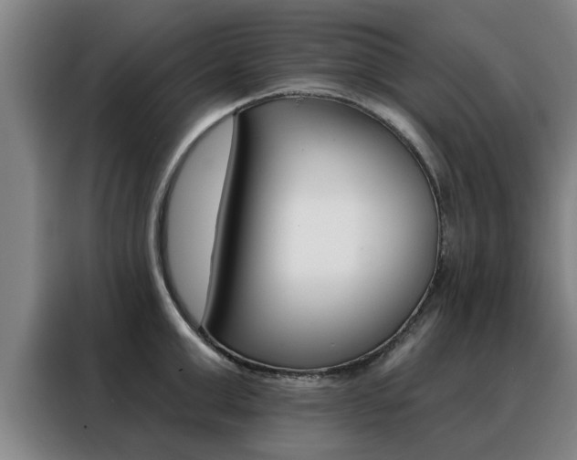 X0000088390999200705220757