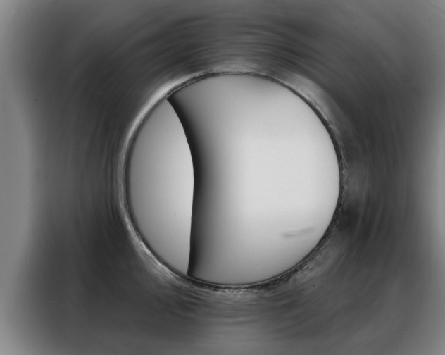 X0000088391000200705220757