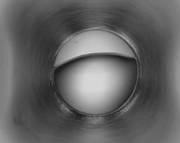 X0000088391001200705220757