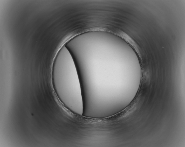 X0000088391002200705220757