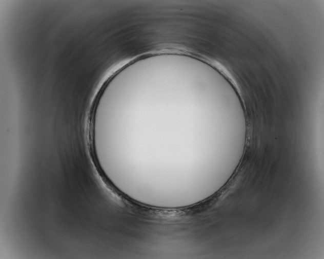 X0000088391003200705220757