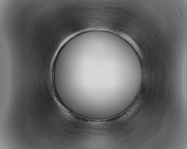 X0000088391004200705220757