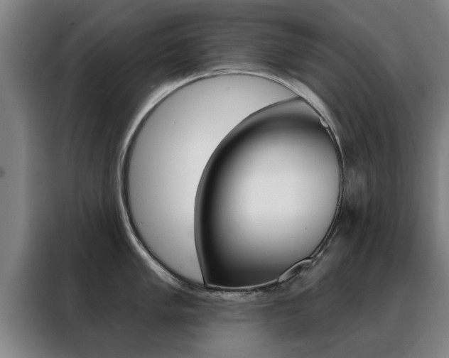 X0000088391005200705220757