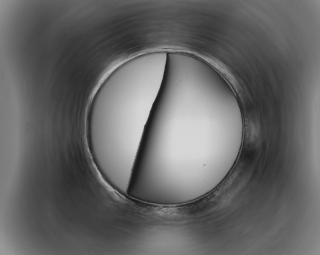 X0000088391006200705220757