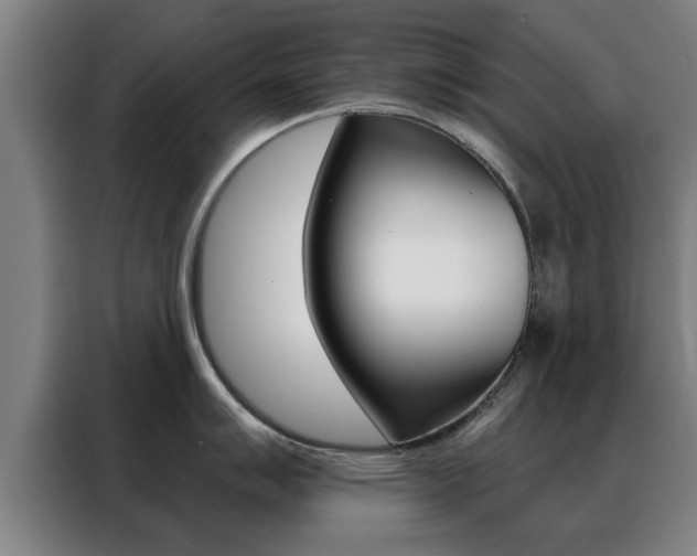 X0000088391007200705220757