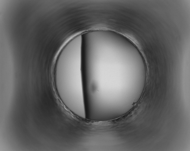 X0000088391008200705220757