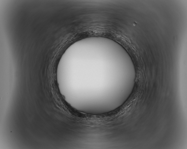 X0000088391009200705220756