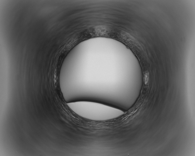X0000088391011200705220756