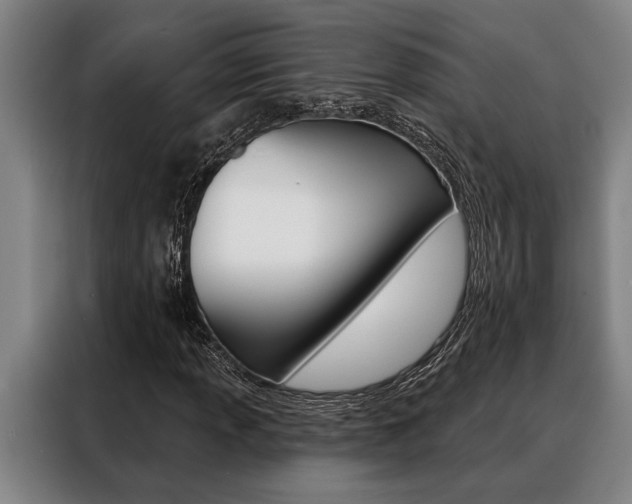 X0000088391013200705220756